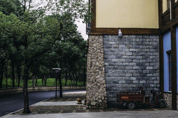 Which UK botanical gardens offer specialized tours on the history of British medicinal plants?